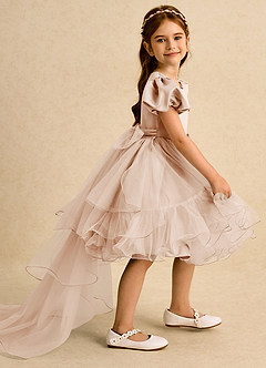 Azazie Cocoa vestidos de niña de las flores Vestido de Rosa Inglesa de Tul de Princesa con Plisado image1