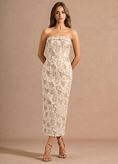 Valorae Vintage Blush Maxi Dress image3