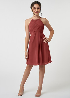 Azazie Ginny Junior Terracotta A-Line Pleated Chiffon Dress image1