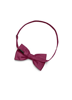 front Matte Satin Pre-Tied Bow Tie