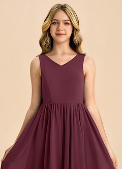 Azazie Hathaway Junior Cabernet A-Line Bow Chiffon Dress image6