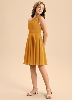 Azazie Charlize Junior A-Line Plisseret Chiffon Mini Junior brudepige Kjole image4