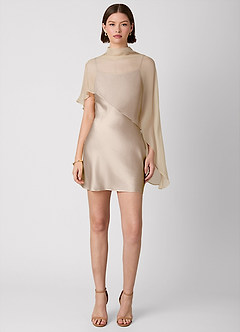 Crystle Taupe 100% Washable Silk Mini Dress image2