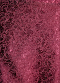 Kiana Wine Maxi Dress image4