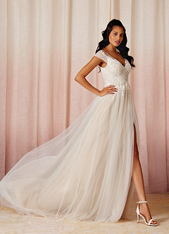 Azazie Bellisima At-home Try On Dresses Diamond White Champagne A-Line V-Neck Tulle Dress image1