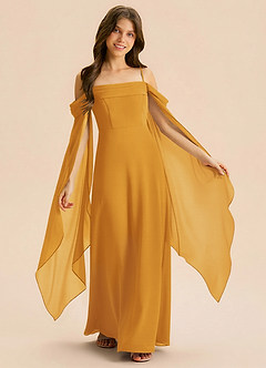 Azazie Moana Junior Linia A Pofałdowany Szyfon Długość podłogi Młodsza druhna Sukienka image1