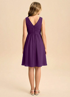 Azazie Skyla Junior Linia A Pofałdowany Szyfon Mini Młodsza druhna Sukienka image2