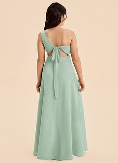Azazie Phaedra Junior Agave A-Line Pleated Chiffon Dress image2