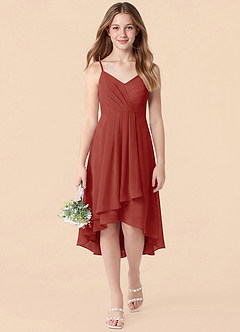 Azazie Mariam Junior Terracotta A-Line Pleated Chiffon Dress image1