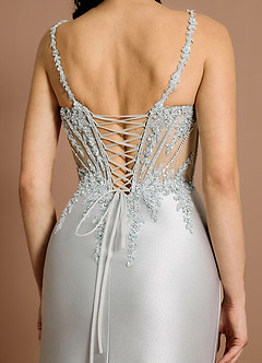 Zafrina  Silver Maxi Dress image6