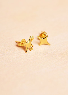 front Star Stud Earrings