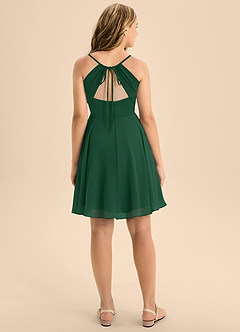 Azazie Avelina Junior Dark Green A-Line Pleated Chiffon Dress image2