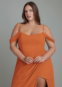 Azazie Johana Bridesmaid Dresses Cinnamon Mermaid Off the Shoulder Chiffon Convertible Dress image10