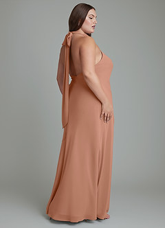 Azazie Velli Bridesmaid Dresses Bronzer Mermaid High Neck Chiffon Dress image13