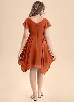 Azazie Janeaurelia Junior Burnt Orange A-Line Pleated Chiffon Dress image2