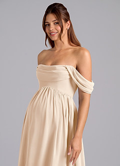 Azazie Saige Maternity Bridesmaid Dresses A-Line Pleated Chiffon Floor-Length Dress image6