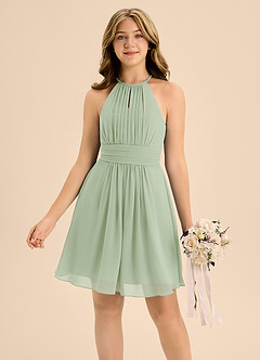 Azazie Bonnie Junior Dusty Sage A-Line Pleated Chiffon Dress image3