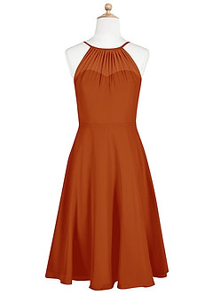 Azazie Alayna Junior Agave A-Line Pleated Chiffon Dress image7