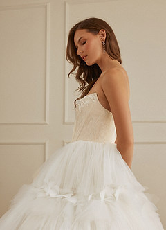 Christian Siriano Bridal for Azazie 2008 Wedding Dresses Diamond White Champagne Ball-Gown Sequins Tulle Dress image8