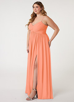 Azazie Alia Bridesmaid Dresses Sunset A-Line Pleated Chiffon Dress image8