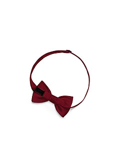 front Boy's Matte Satin Pre-Tied Bow Tie