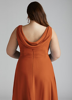 Azazie Karina Bridesmaid Dresses Cinnamon A-Line Pleated Chiffon Dress image15