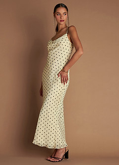 Alanis Cream Black Maxi Dress image4