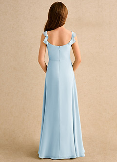 Azazie Puppy Girls Formal Flower Girl Dresses Sky Blue A-Line Pleated Chiffon Dress image2
