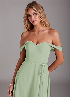 Azazie Aaron Final Sale Dusty Sage A-Line Off the Shoulder Chiffon Convertible Dress image7