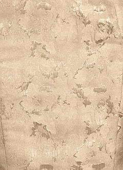 Azazie Nettie 신부의 어머니 드레스 인어 오프 더 숄더 자카드 플로어 길이 드레스 image7