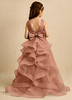 Azazie Lior Robe Demoiselle D'honneur Fillette Robe Princesse en Tulle Plissée Bronze image1