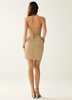 Faustine Champagne Robe mini à perles et sequins avec laçage au dos image6