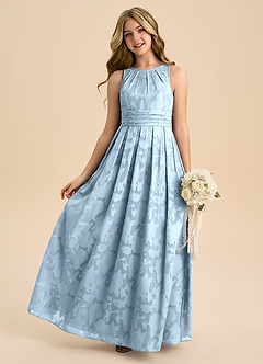 Azazie Bibiane Junior Sky Blue A-Line Pleated Floral Burnout Dress image1