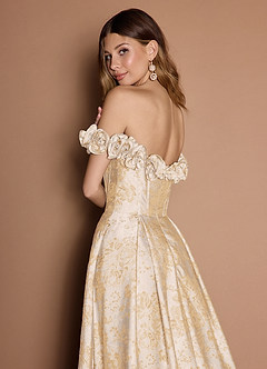 Zora Vintage Champagne Gown image8