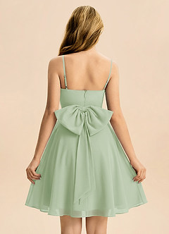Azazie Bear Junior Dusty Sage A-Line Pleated Chiffon Dress image2