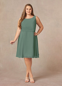 Azazie Shirley Mother of the Bride Dresses Eucalyptus A-Line Scoop Pleated Chiffon Dress image11