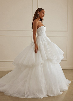 Christian Siriano Bridal for Azazie 2007 Wedding Dresses Diamond White Ball-Gown Sequins Tulle Dress image7