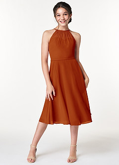 Azazie Alayna Junior Agave A-Line Pleated Chiffon Dress image1