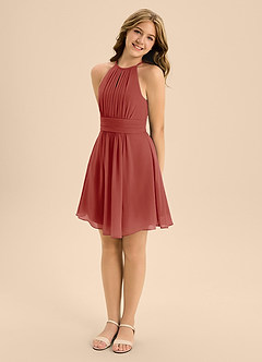 Azazie Bonnie Junior Terracotta A-Line Pleated Chiffon Dress image4