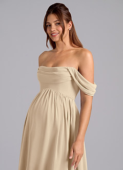 Azazie Saige Maternity Bridesmaid Dresses A-Line Pleated Chiffon Floor-Length Dress image6