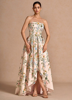 Lelia Blush Pink Multi Maxi Dress image5