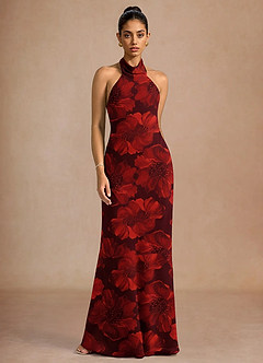Dillon Carnelian Maxi Dress image3