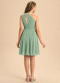 Azazie Charlize Junior Matcha A-Line Pleated Chiffon Dress image2