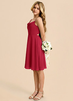 Azazie Shale Vestido de Escarlata de Gasa de Corte en A con Lazo image1