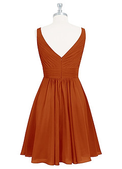 Azazie Grace Bridesmaid Dresses Paprika A-Line Pleated Chiffon Dress image8