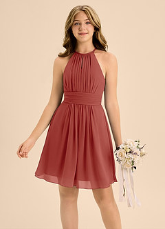 Azazie Bonnie Junior Terracotta A-Line Pleated Chiffon Dress image3