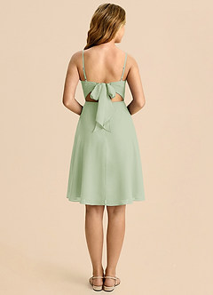 Azazie Shale Dusty Sage A-Line Bow Chiffon Dress image2