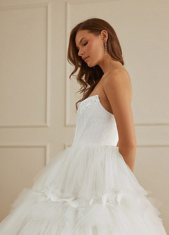 Christian Siriano Bridal for Azazie 2008 Wedding Dresses Diamond White Ball-Gown Sequins Tulle Dress image8