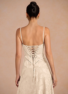 Iselda Cream Maxi Dress image6