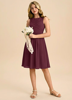 Azazie Skyla Junior Linia A Pofałdowany Szyfon Mini Młodsza druhna Sukienka image5